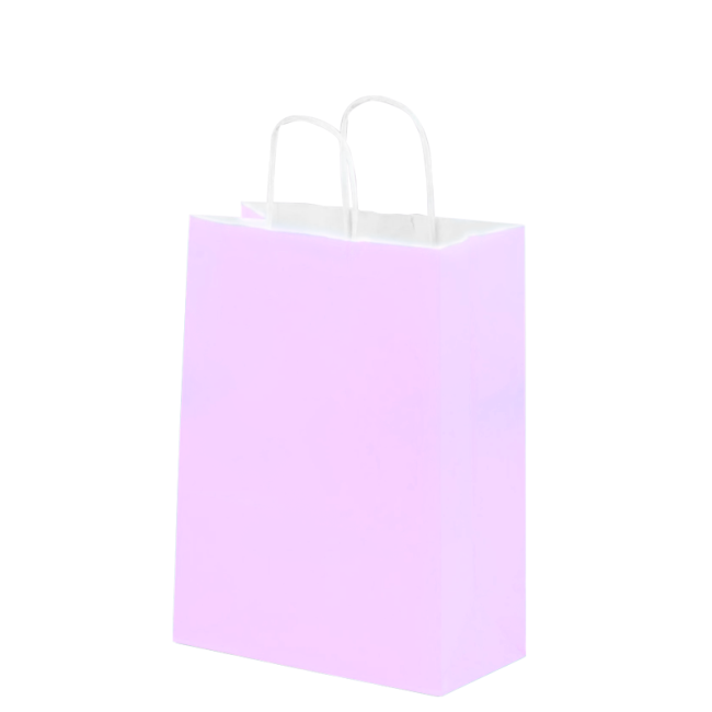 BOLSA DE PAPEL CON ASA 21 X 16 X 8
