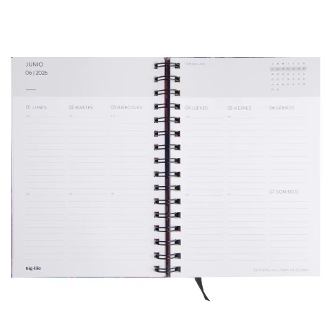 AGENDA BIG LIFE HEALTY SEMANAL 15x21CM.
