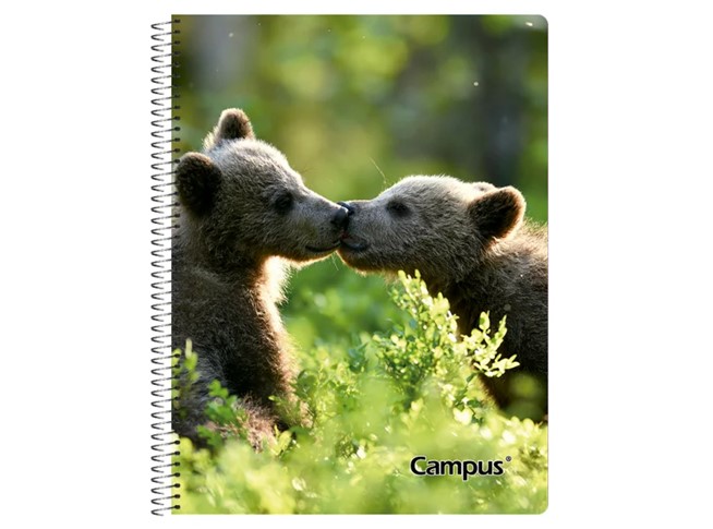 CUADERNOLA CAMPUS FANTASIA TAPA DURA 96 HOJAS