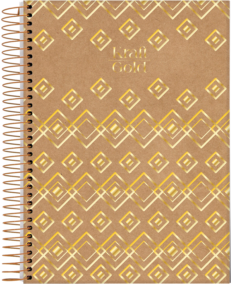 CUADERNOLA JANDAIA KRAFT GOLD TAPA DURA 20 X 27CM. 160 HOJAS