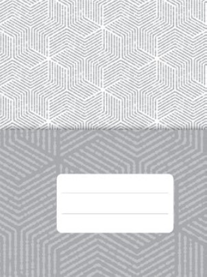 AGENDA JANDAIA STILO DIARIA CON ESPIRAL 13x18 CM.