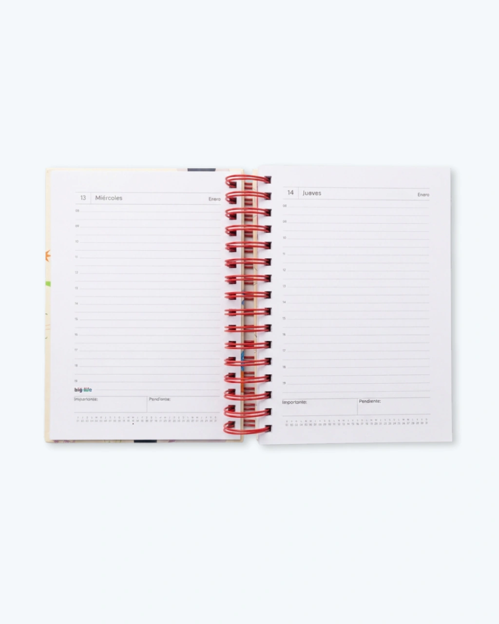 AGENDA BIG LIFE IPANEMA DIARIA 10x15CM.