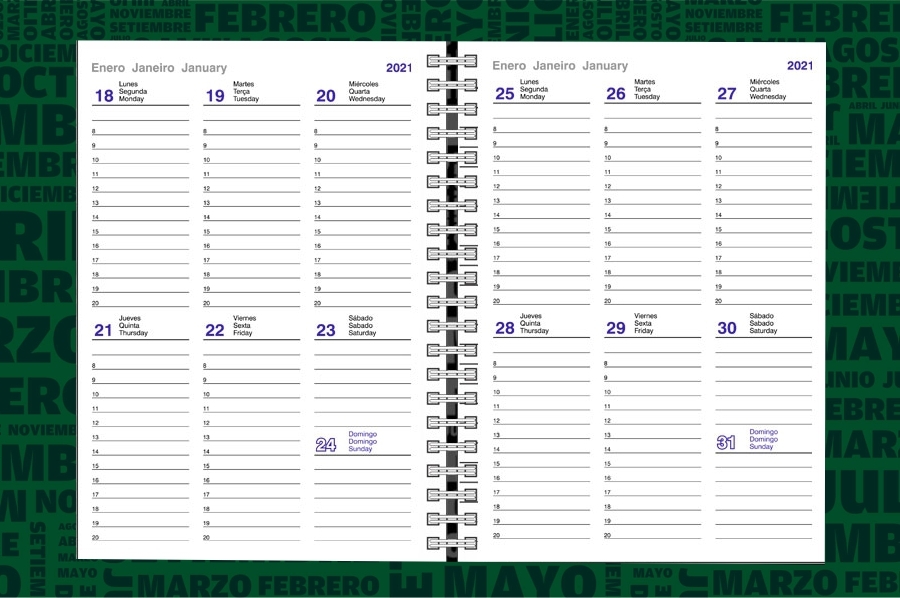 AGENDA ABZ 2 SEMANAS C/ESPIRAL Nº 260 16 X 22 CM.