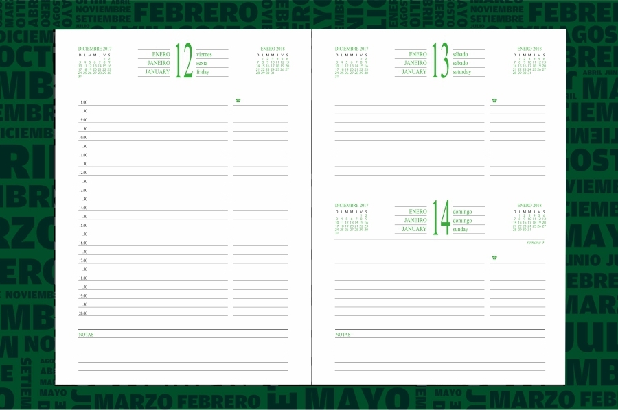 AGENDA ABZ DIARIA C/ESPIRAL Nº 263 16 X 22 CM.