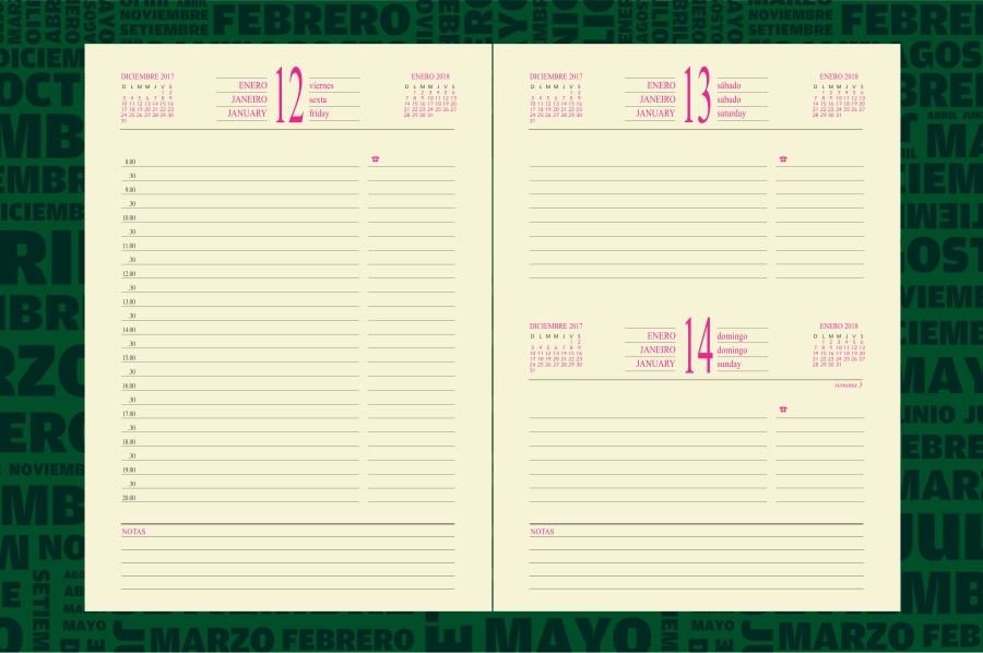 AGENDA ABZ DIARIA PRESIDENTE C/PRESILLA Nº 315CP 16 X 22 CM. 