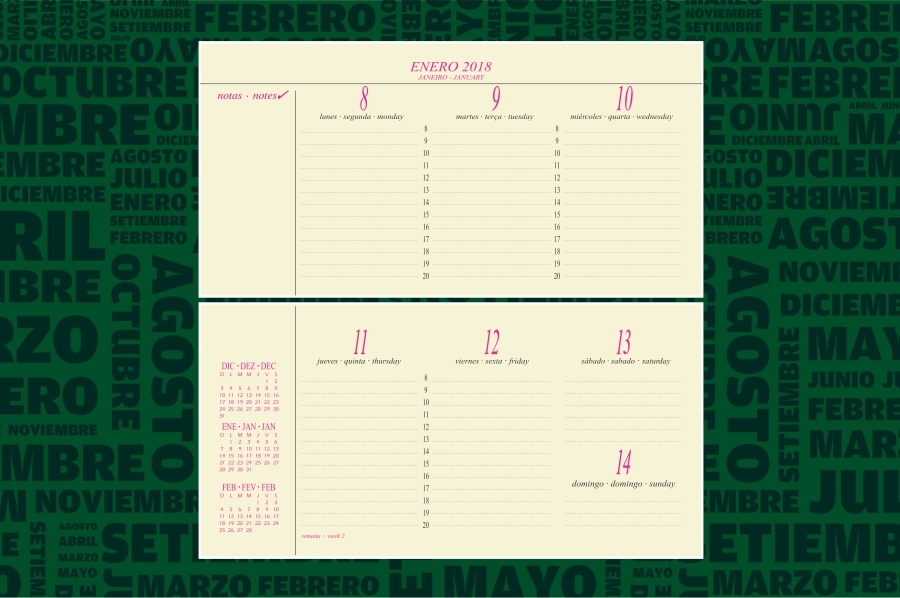 AGENDA ABZ SEMANAL APAISADA Nº 320 8 X 17 CM.