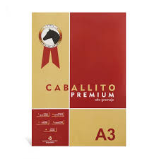 BLOCK A3 CABALLITO X 10 HOJAS