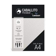 BLOCK CABALLITO TEXTURADO A4 180 GR. 20H.