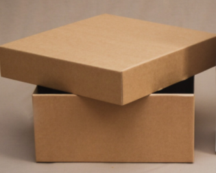 CAJA KRAFT CON TAPA MEDIANA 30x27x12 cm.