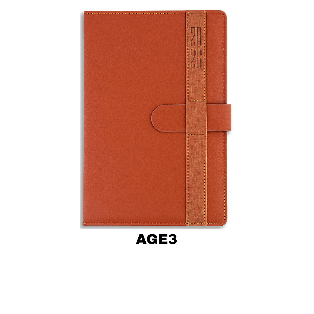 AGENDA OMEGA Nº 3 DIA X HOJA C/PRESILLA 14.5 X 21 CM.