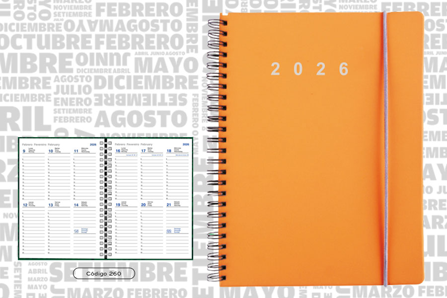 AGENDA ABZ 2 SEMANAS C/ESPIRAL Nº 260 16 X 22 CM.