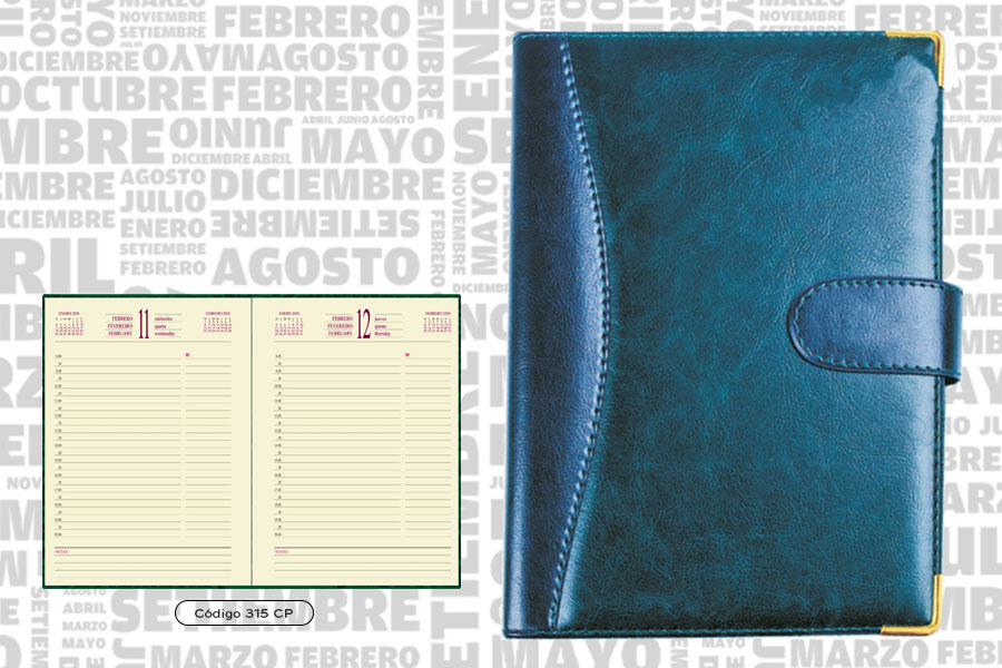 AGENDA ABZ PRESIDENTE DIARIA C/PRESILLA Nº 315CP 16 X 22 CM.