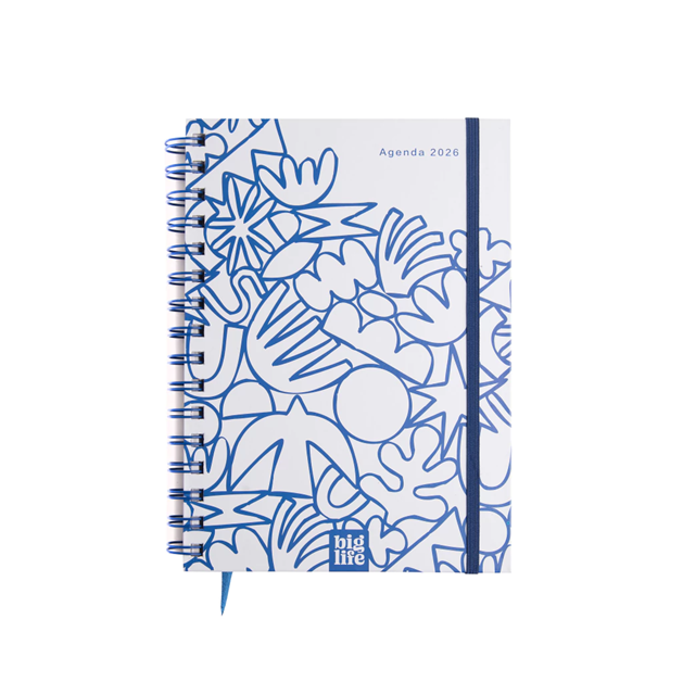 AGENDA BIG LIFE BLUE DIARIA 15x21CM.