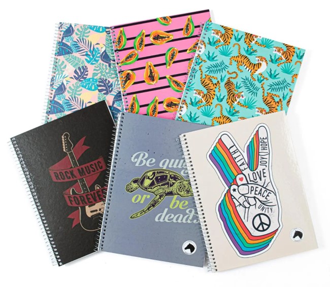 CUADERNOLA CABALLITO SUPER TAPA DURA 100 HOJAS