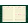 AGENDA ABZ DIARIA PRESIDENTE C/PRESILLA Nº 315CP 16 X 22 CM. 